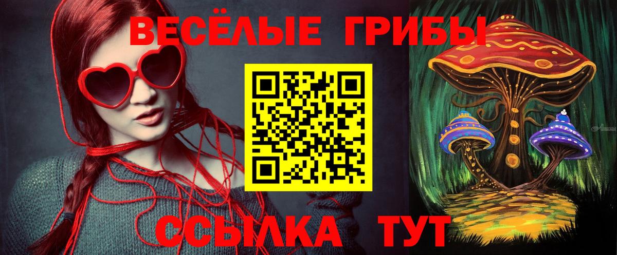Галлюциногенные грибы Psilocybine cubensis  что такое   Ефремов  Вход с VPN  Галлюциногенные грибы ЛСД 