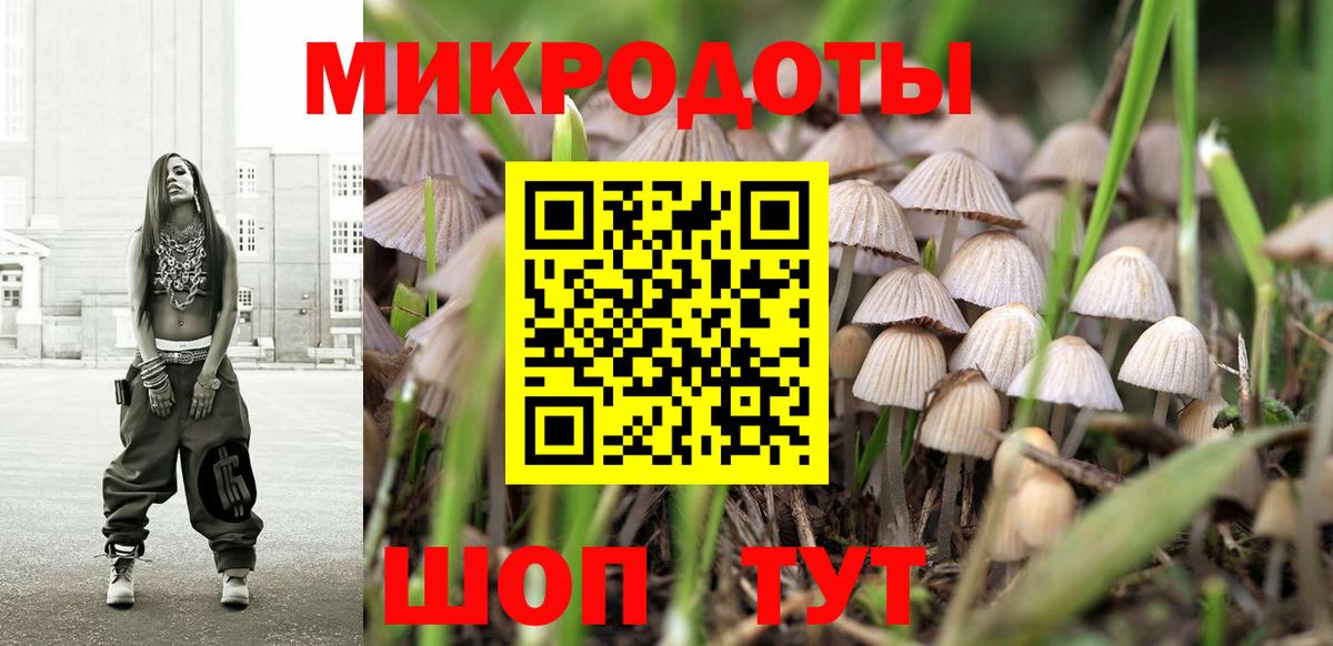 Псилоцибиновые грибы Psilocybe Ефремов